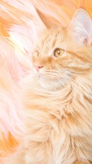 Fluffy ginger cat portrait
