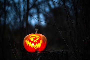 Halloween pumpkin with eerie expression