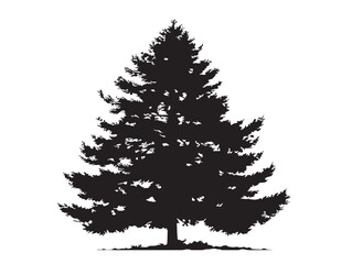 Pine tree conifer silhouette illustration with natural strength