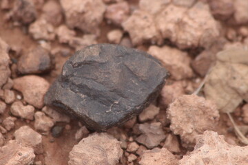 A close-up shot of a black stone on the ground