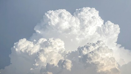 A large, puffy cumulus cloud formation against a pale blue sky.