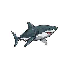 Obraz premium Cartoon illustration of a great white shark swimming.