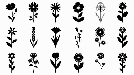 Fototapeta premium Diverse collection of delicate botanical silhouettes of flowers and plants for artistic design vector