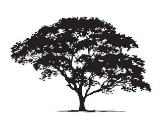 Broad Canopy Sycamore Tree Silhouette Illustration for Landscape Art