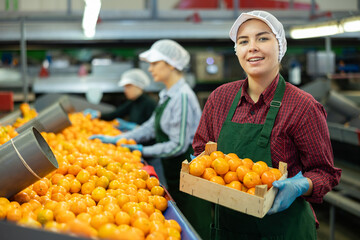 Smiling young female worker in fruit sorting and packing warehouse holding small wooden box of sorted ripe mandarins