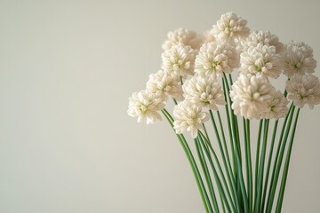 Delicate chives harvested from a garden isolated against a clear background