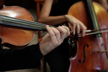 musicians playing violin and cello at a music concert © vilanchelo