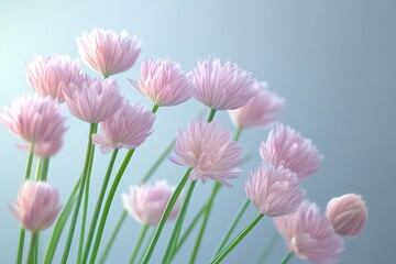 Delicate chives harvested from a garden isolated against a clear background