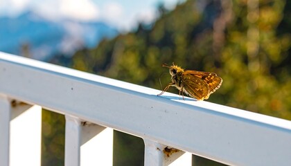 A small, golden-brown skipper butterfly rests on a white metal railing, showcasing a serene outdoor setting with a blurred backdrop of mountains and trees.