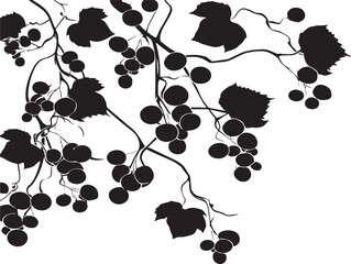 Elegant vine climbing natural silhouette artistic vector element