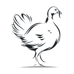 Obraz premium Artistic depiction of a bird walking gracefully outdoors. Vector hand drawn illustration