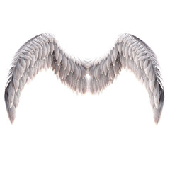 3d render angel bird wings feather with transparent background