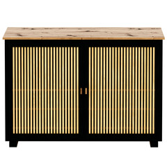 3d render wooden slatted cabinet with transparent background