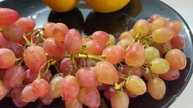 Plates with cheese and grapes stand in a row against a background of bunches of grapes, appetizers and dessert.