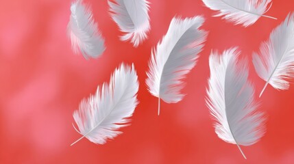 Obraz premium Red background with white feathers flying in the air