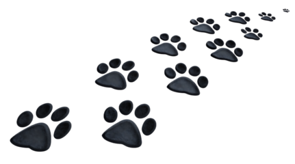 A series of black paw prints diminishing in size diagonally across a black background from left to right