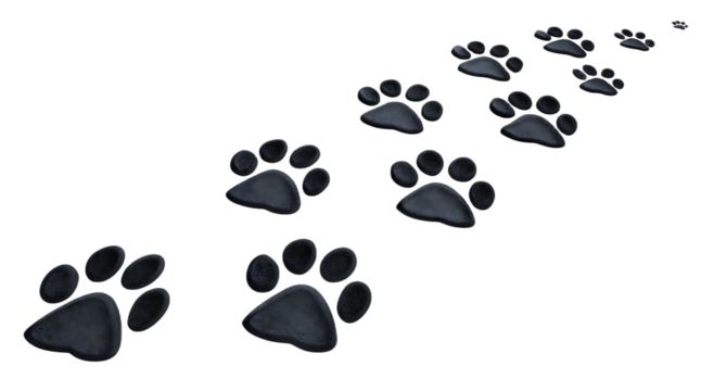 A series of black paw prints diminishing in size diagonally across a black background from left to right