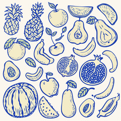 Hand-Drawn Vector Doodles of Assorted Fruits — Blue Ink Outline Apples, Bananas, Grapes, Pears, and Citrus