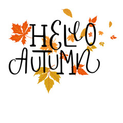 autumn leaves vector