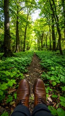 Forest path viewed from above