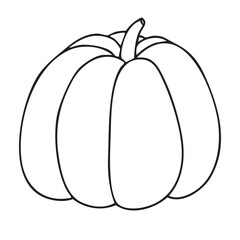 Hand drawn vector doodle of pumpkins