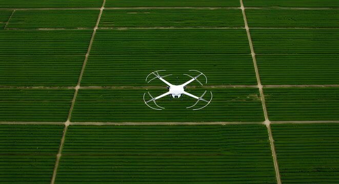 Drone Monitoring Vast Green Agricultural Fields from an Aerial Perspective