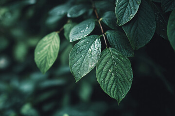 Green leaves close up generative AI