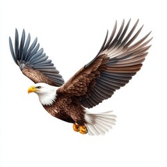 Naklejka premium Majestic Eagle in Flight with Detailed Feather Patterns and Graceful Wings