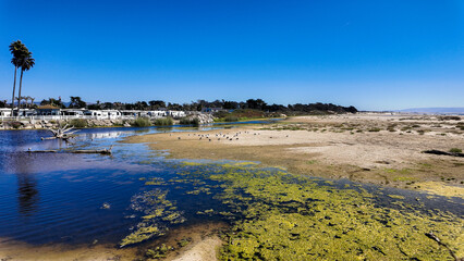 The Pismo Beach Wetlands and Dunes at the Pismo Creek