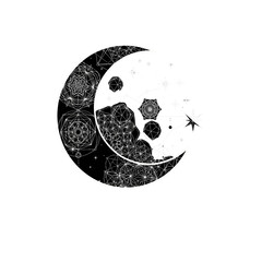 Detailed crescent moon illustration with stars celestial night sky astrology astronomy design element art