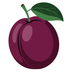 Plum with leaf isolated on a white background in detailed vector illustration, ideal for fruit, healthy lifestyle, agriculture, nutrition, and natural food artwork