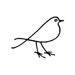 bird on a branch