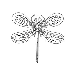 dragonfly vector illustration