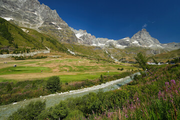 Fototapeta premium Matterhorn golf course in Aosta Valley, Italy.
