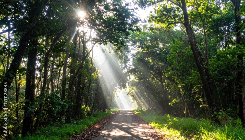 Poster sunbeams illuminate a serene forest path with ethereal light, creating a mystical and peaceful natur