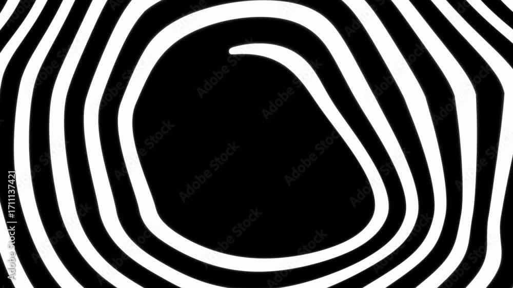 Poster abstract wavy white lines create a hypnotic zebra-like pattern. modern, minimalist graphic element w