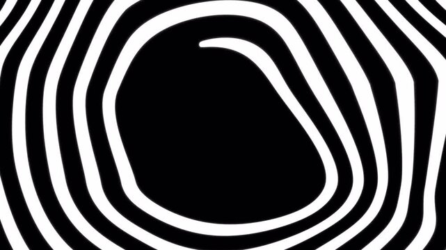 Abstract wavy white lines create a hypnotic zebra-like pattern. Modern, minimalist graphic element with distorted organic shapes and flowing curves on a transparent background. Copy space.