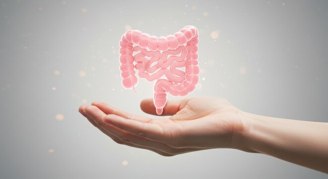Human hand holding a glowing illustration of the human colon