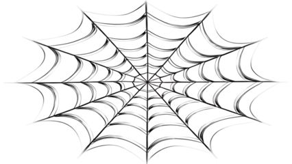 Spider web black on transparent background for Halloween