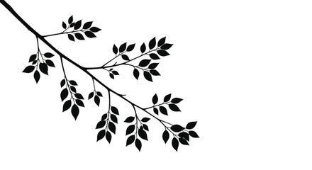 Naklejka premium A delicate branch with many leaves is silhouetted against a white background.