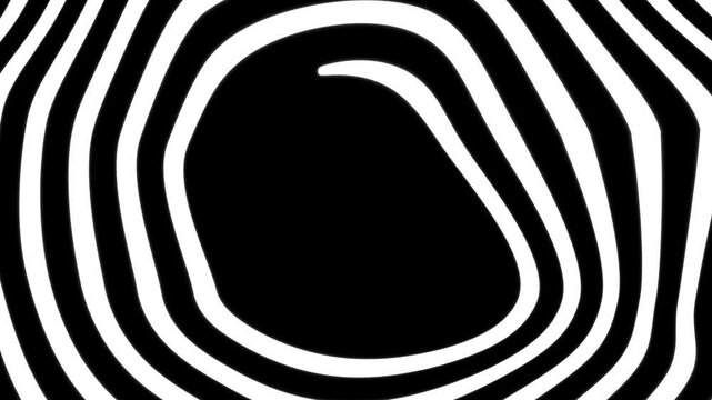 Abstract black and white background with wavy, organic lines creating a dynamic zebra-like pattern. Minimalist monochrome graphic with fluid stripes for a concept of illusion and motion. Copy space.