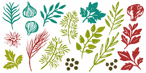 Hand drawn botanical elements featuring herbs plants and spices in vibrant colors
