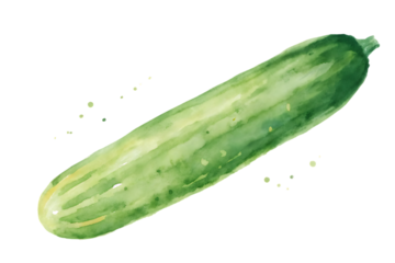 Fresh green cucumber with water droplets painted in watercolor style against a stark black background