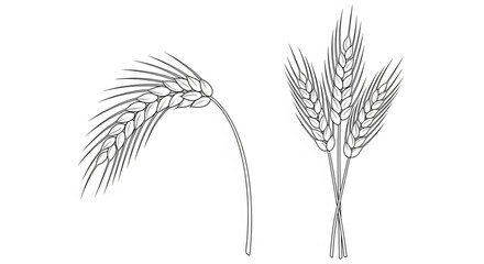 Delicate line drawings of ripe wheat stalks, symbolizing harvest and natural bounty.