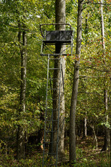Hunting tree stand mounted to a tree in the woods.