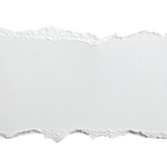 Ripped white paper strip