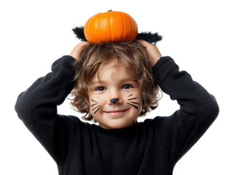 PNG Cat whisker face pumpkin expression background.