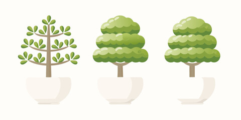 Three potted plants showing different stages of growth and pruning styles in a clean flat design