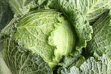 Fresh ripe Savoy cabbages as background, closeup