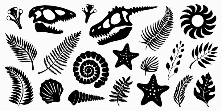 Collection of black silhouette prehistoric fossils and plants including dinosaur skulls ferns seashells and starfish